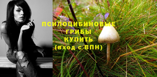 Альфа ПВП Алексин