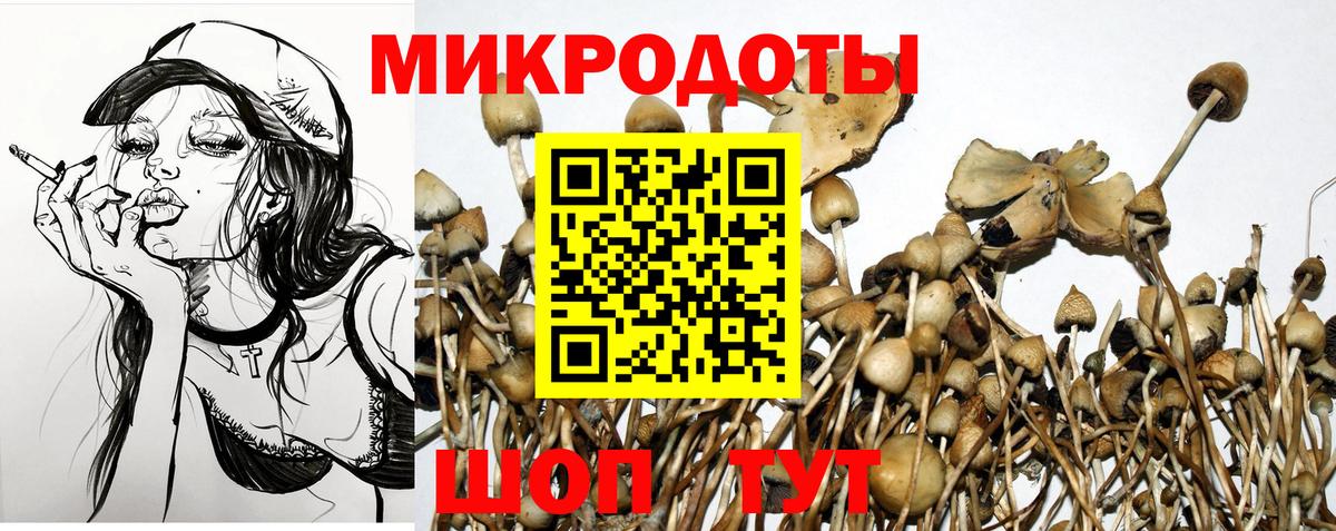 Галлюциногенные грибы GOLDEN TEACHER  Вход с VPN  Минусинск 